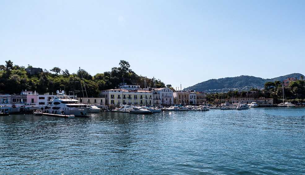 19-IMG_3528