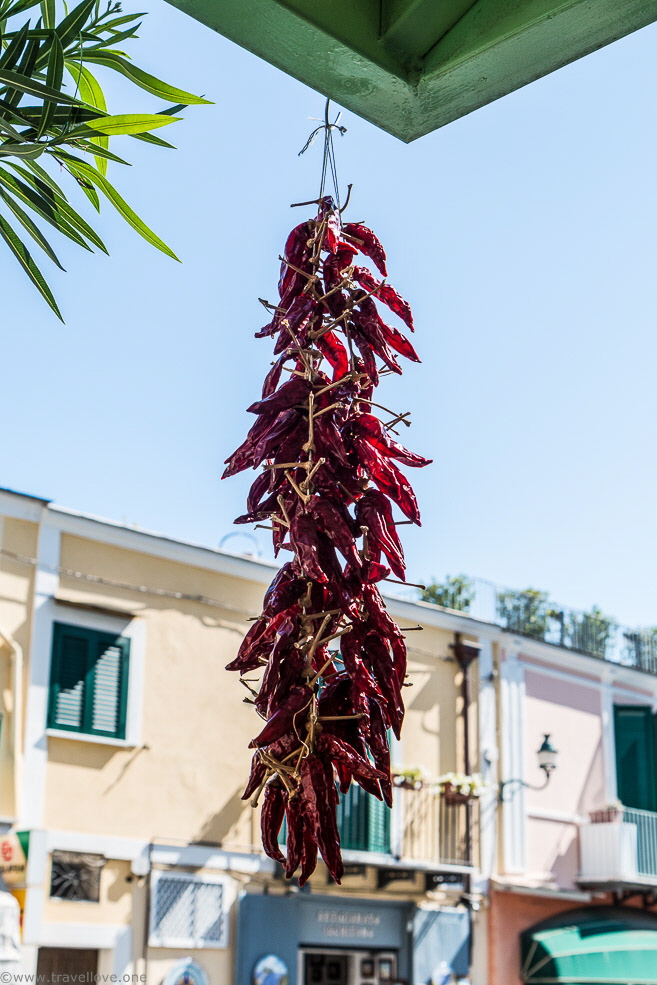 28-IMG_3540