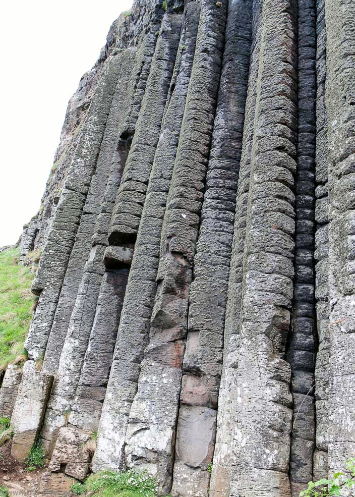 51 Giant`s Causeway Organ