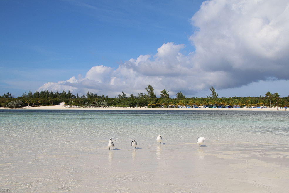 102 Coco Cay Beach