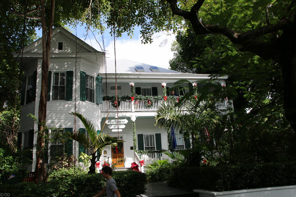191 Key West Banyan