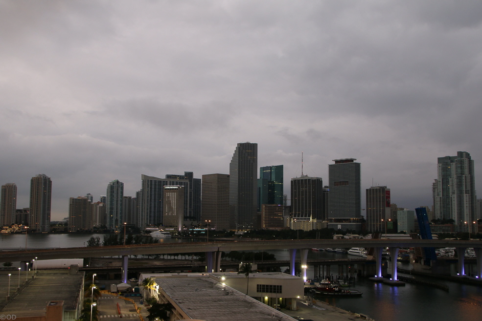 225 Miami Skyline