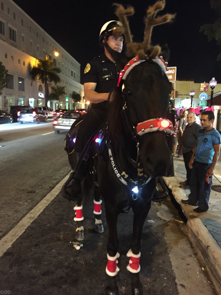 236 Miami Little Havana Police Horse