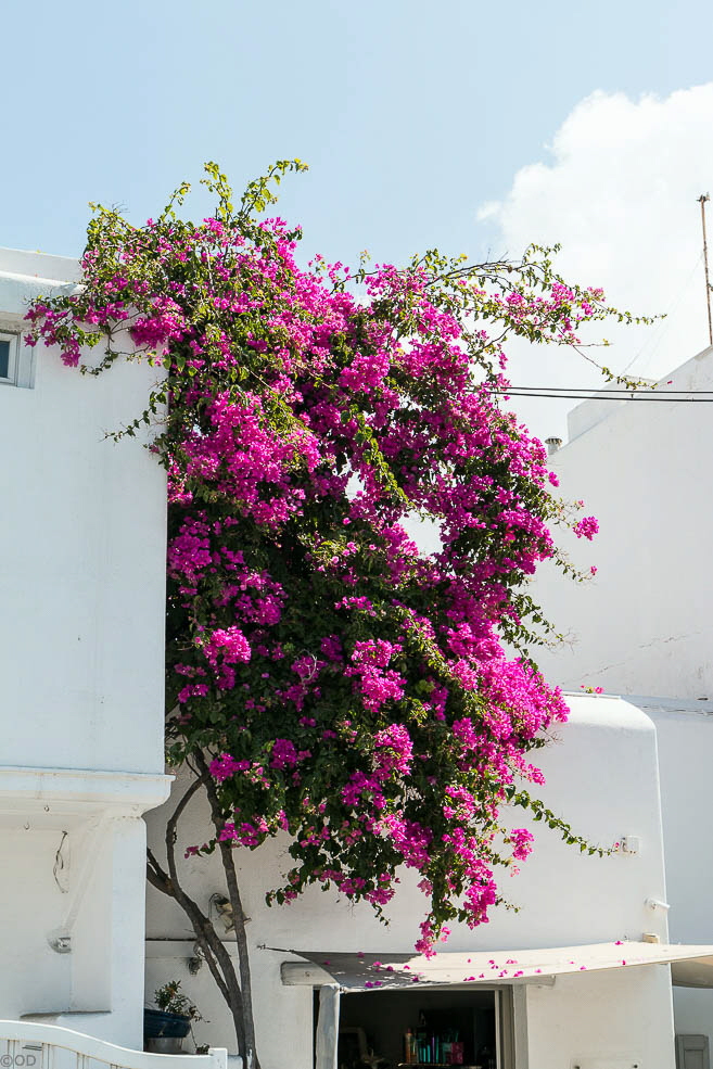 035 Mykonos Streets