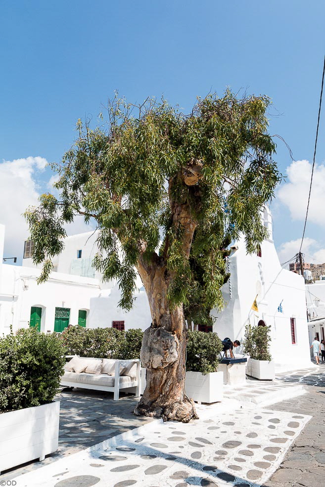 048 Mykonos Streets