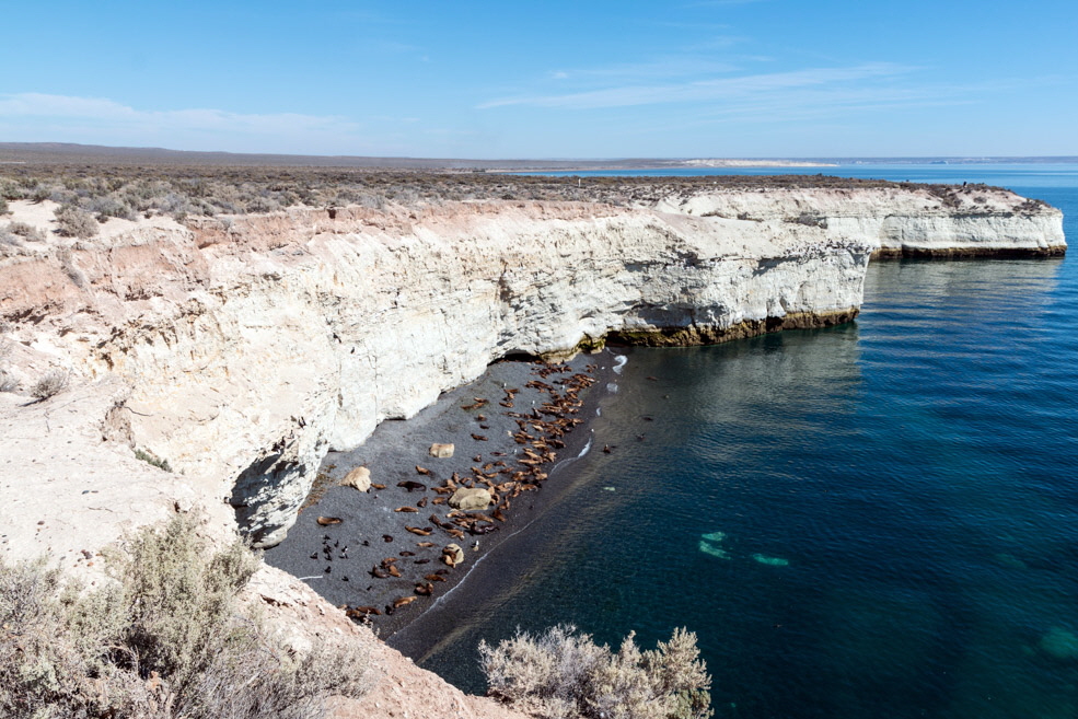 310 Puerto Madryn Punta Loma