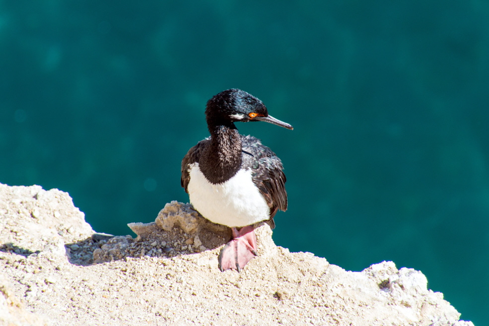 318 Puerto Madryn Punta Loma