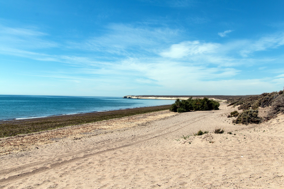 341 Puerto Madryn Punta Loma