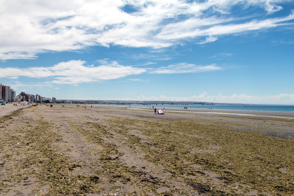 345 Puerto Madryn Beach Restaurant