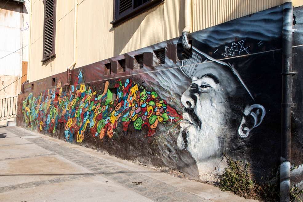 708 Valparaiso Street Art
