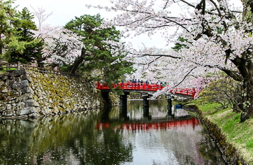 Westerdam-Japan