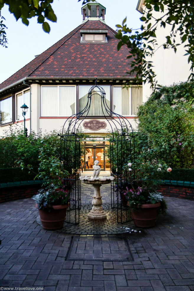 62-IMG_0291