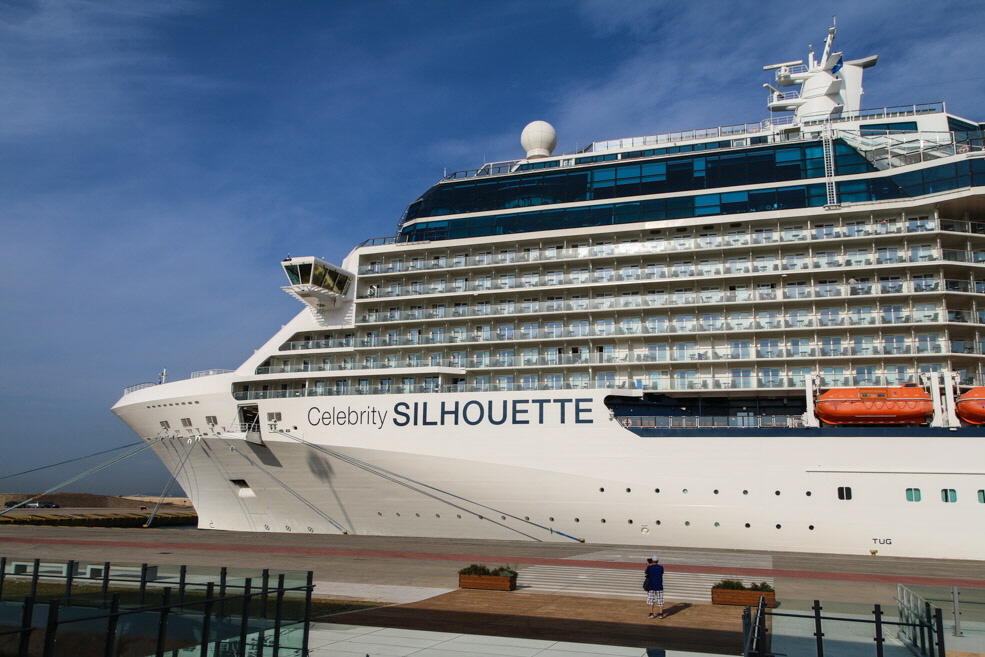 106 Celebrity Silhouette