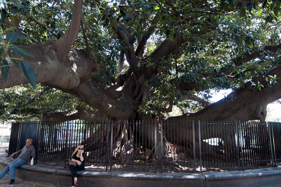 150 Buenos Aires Recoleta La Gomero