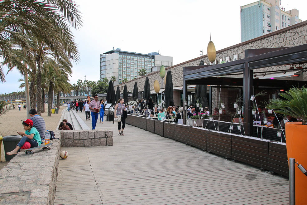 014 Barceloneta Beach Bars