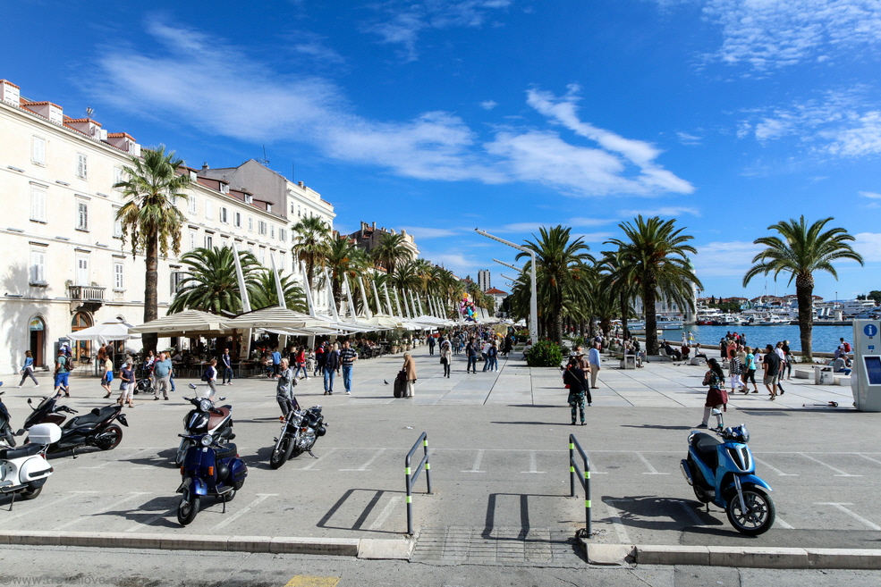 54-IMG_7604