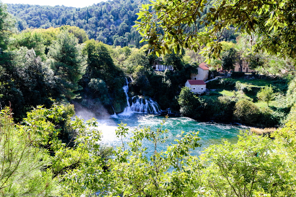 39-IMG_7718