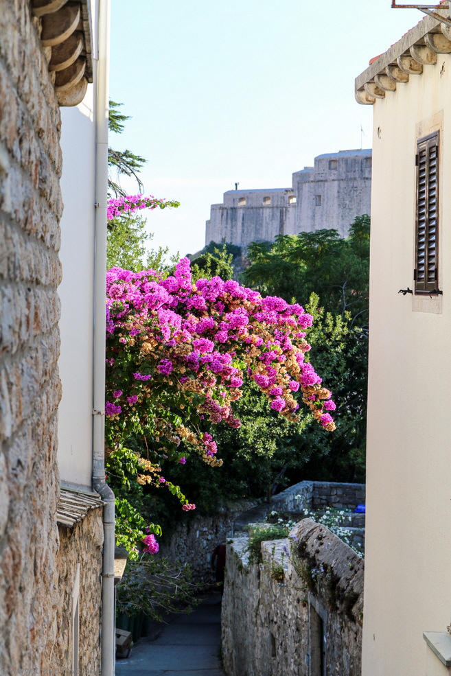 23- Dubrovnik