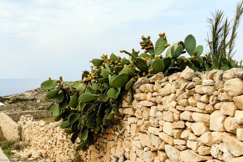 52-Hagar Qim Malta