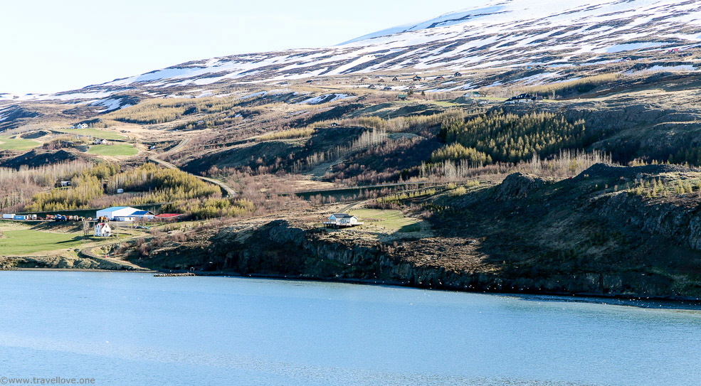 11-IMG_4970